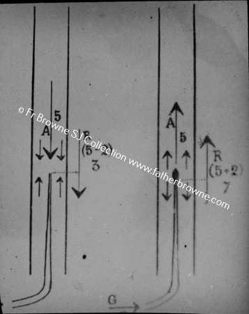 COPY NEG SCIENTIFIC DIAGRAM